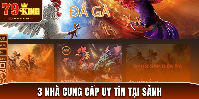 Danh sách 3 nhà cung cấp uy tín của đá gà 79King