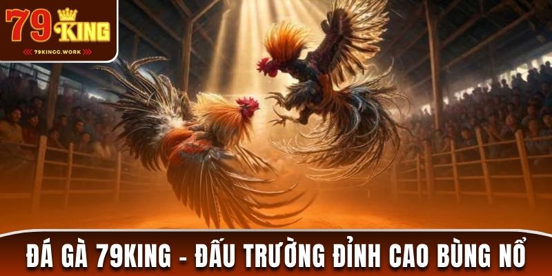 Đá Gà 79King - Đấu Trường Đỉnh Cao Cho Dân Chơi Năm 2025