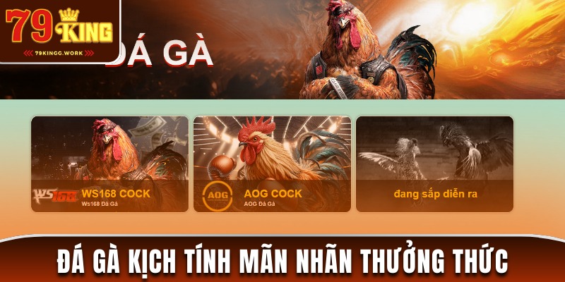 Kịch tính với kỹ thuật ra đòn đỉnh cao tại game 79king đá gà