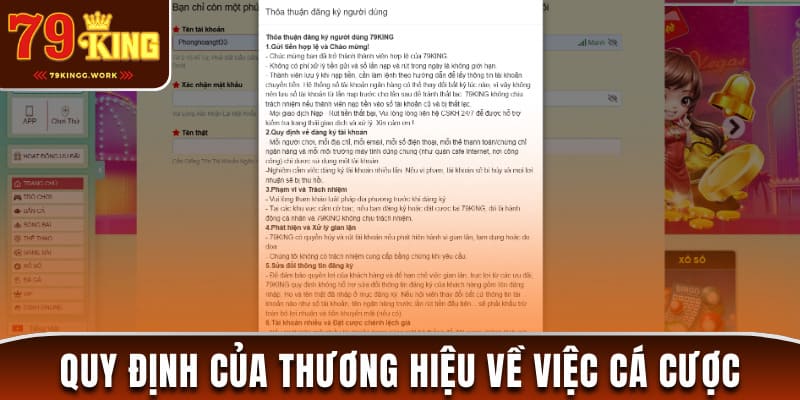 Quy định của thương hiệu về cá cược game đổi thưởng 79king